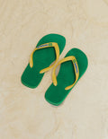 Havaïanas Brasil Logo - 1